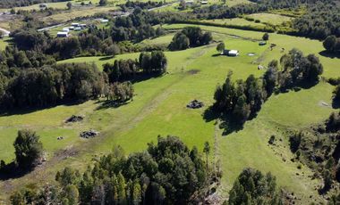 Campo en Fresia de 19,43 Hectáreas con Vivienda y Oportunidad Agrícola