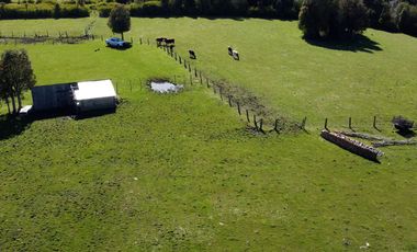Campo en Fresia de 19,43 Hectáreas con Vivienda y Oportunidad Agrícola