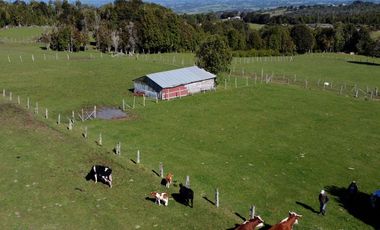 Campo en Fresia de 19,43 Hectáreas con Vivienda y Oportunidad Agrícola