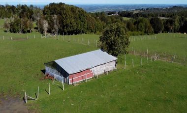 Campo en Fresia de 19,43 Hectáreas con Vivienda y Oportunidad Agrícola