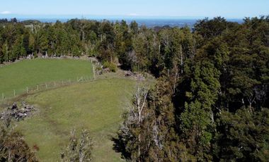 Campo en Fresia de 19,43 Hectáreas con Vivienda y Oportunidad Agrícola