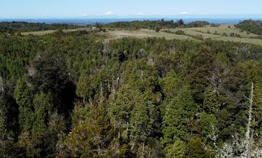 Campo en Fresia de 19,43 Hectáreas con Vivienda y Oportunidad Agrícola