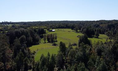 Campo en Fresia de 19,43 Hectáreas con Vivienda y Oportunidad Agrícola