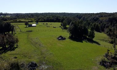 Campo en Fresia de 19,43 Hectáreas con Vivienda y Oportunidad Agrícola