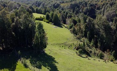 Campo en Fresia de 19,43 Hectáreas con Vivienda y Oportunidad Agrícola