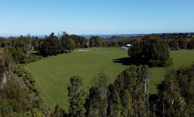 Campo en Fresia de 19,43 Hectáreas con Vivienda y Oportunidad Agrícola