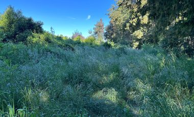 Venta parcelas Camino Las Mariposas Km 17,5 con orilla de Río Chillán