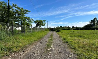 Venta parcelas Camino Las Mariposas Km 17,5 con orilla de Río Chillán