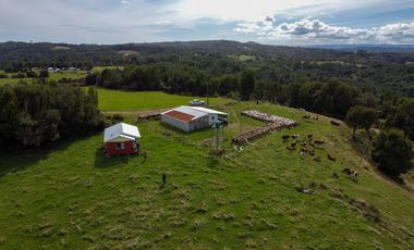 ¡Un Campo en Quillagua con Espectacular Vista Hacia es Mar!