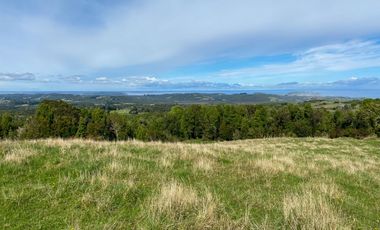 ¡Un Campo en Quillagua con Espectacular Vista Hacia es Mar!