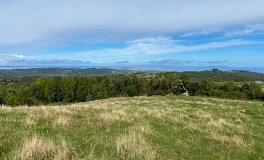 ¡Un Campo en Quillagua con Espectacular Vista Hacia es Mar!