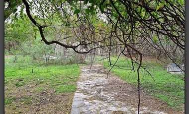 Terreno en venta en Rancho Grande, Reynosa, Tamaulipas