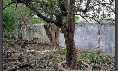Terreno en venta en Rancho Grande, Reynosa, Tamaulipas