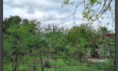 Terreno en venta en Rancho Grande, Reynosa, Tamaulipas
