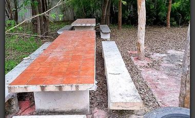Terreno en venta en Rancho Grande, Reynosa, Tamaulipas
