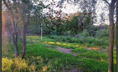 Terreno en venta en Rancho Grande, Reynosa, Tamaulipas