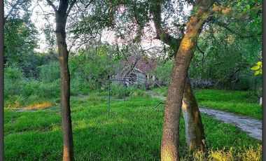 Terreno en venta en Rancho Grande, Reynosa, Tamaulipas