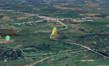 Below Zonal Value 8.6 Hectare Land for Sale along Provincial Road, Nueva Ecija
