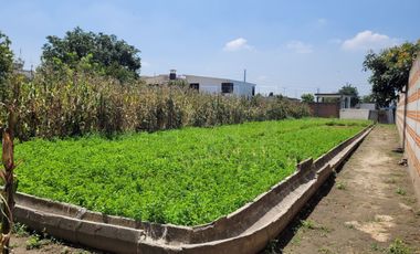 TERRENO EN VENTA SANTA CATARINA AYOMETLA TLAXCALA