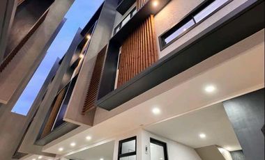 BRAND NEW 4 STOREY TOWNHOUSE IN BRGY. PASADENA SAN JUAN