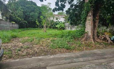 FOR SALE | Vacant Lot at Ayala Alabang Village