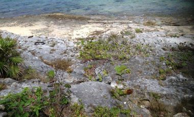Terreno Playa Norte.