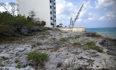 Terreno Playa Norte.