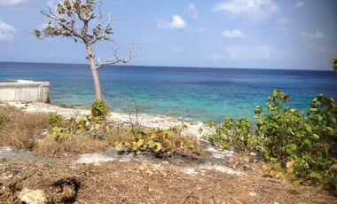Terreno Playa Norte.