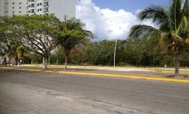Terreno Playa Norte.