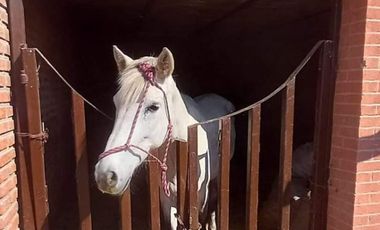 CASA EN RENTA EN EL POTRERILLO - CAJITITLÁN