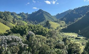 Apartamento Expoferias