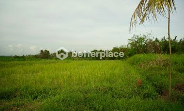 Prime 1340 sqm Land in Beraban, Tabanan, Ideal for Investment