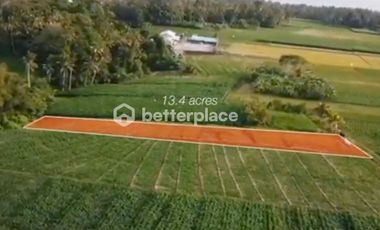 Prime 1340 sqm Land in Beraban, Tabanan, Ideal for Investment