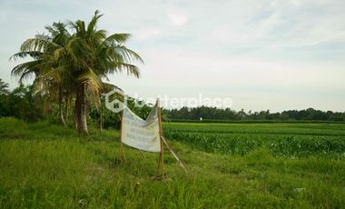 Prime 1340 sqm Land in Beraban, Tabanan, Ideal for Investment