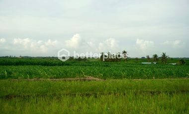 Prime 1340 sqm Land in Beraban, Tabanan, Ideal for Investment