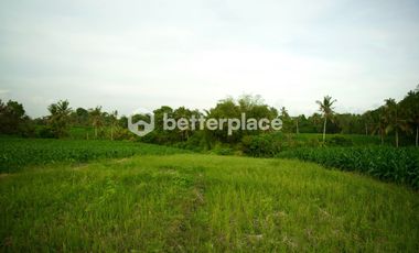 Prime 1340 sqm Land in Beraban, Tabanan, Ideal for Investment