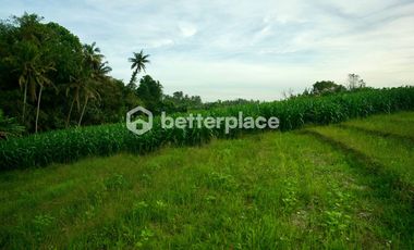 Prime 1340 sqm Land in Beraban, Tabanan, Ideal for Investment