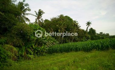 Prime 1340 sqm Land in Beraban, Tabanan, Ideal for Investment