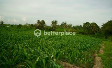 Prime 1340 sqm Land in Beraban, Tabanan, Ideal for Investment