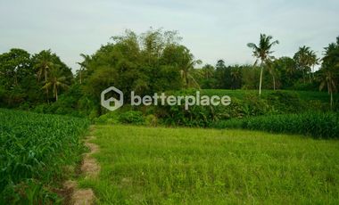 Prime 1340 sqm Land in Beraban, Tabanan, Ideal for Investment
