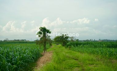 Prime 1340 sqm Land in Beraban, Tabanan, Ideal for Investment