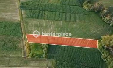 Prime 1340 sqm Land in Beraban, Tabanan, Ideal for Investment