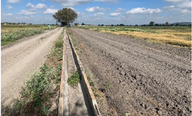 Terreno con 4.5 has, Agricola con sistema de Riego por goteo, San Juan Segundo, SLuis de la Paz GTO