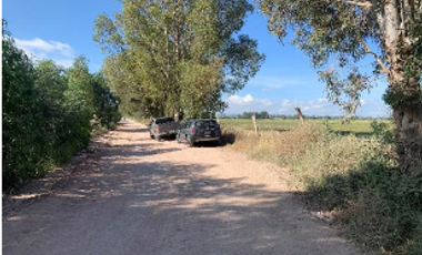 Terreno con 4.5 has, Agricola con sistema de Riego por goteo, San Juan Segundo, SLuis de la Paz GTO
