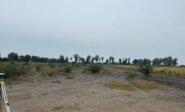 Terreno con 4.5 has, Agricola con sistema de Riego por goteo, San Juan Segundo, SLuis de la Paz GTO
