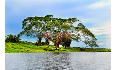 Terreno En Esquina 300M2 | Independizado - Sunarp | A 15 Minutos De Open Plaza, Real Plaza Y Aeropuerto Pucallpa