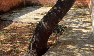SE VENDE EDIFICIO EN CUERNAVACA CENTRO