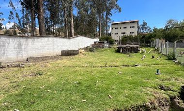 AMPLIA CASA RENTERA CON AREA VERDE Y JARDINES, Sector La Raya Ricaurte C1433