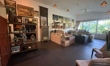 House and Lot with Commercial Space for Sale ID 14935