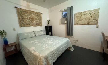 House and Lot with Commercial Space for Sale ID 14935